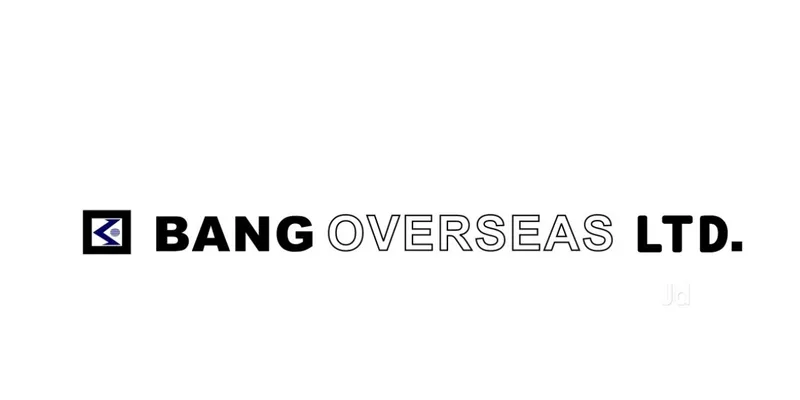 To Analyse FinancialPerformance oF BANG OVERSEAS LTD.
